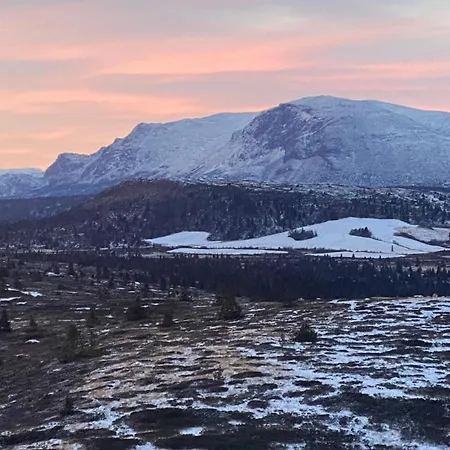 Apartman In With Wifi *